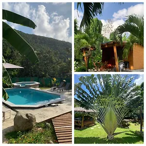 https://o-fil-de-leau.comcaribbean.com
